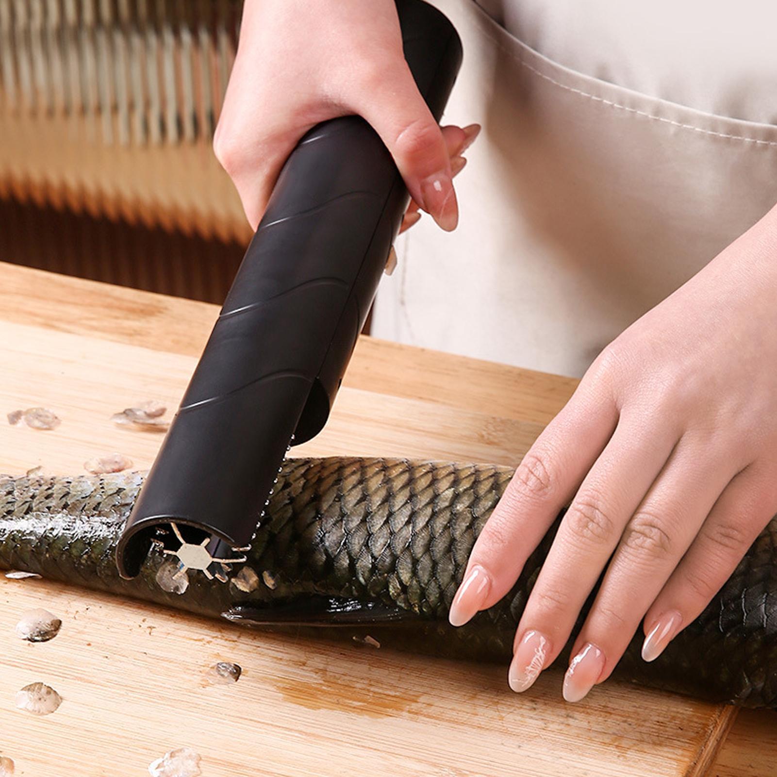 Fish Scaler Cordless Handheld  - đánh giá và giá Meal Prep Restaurant