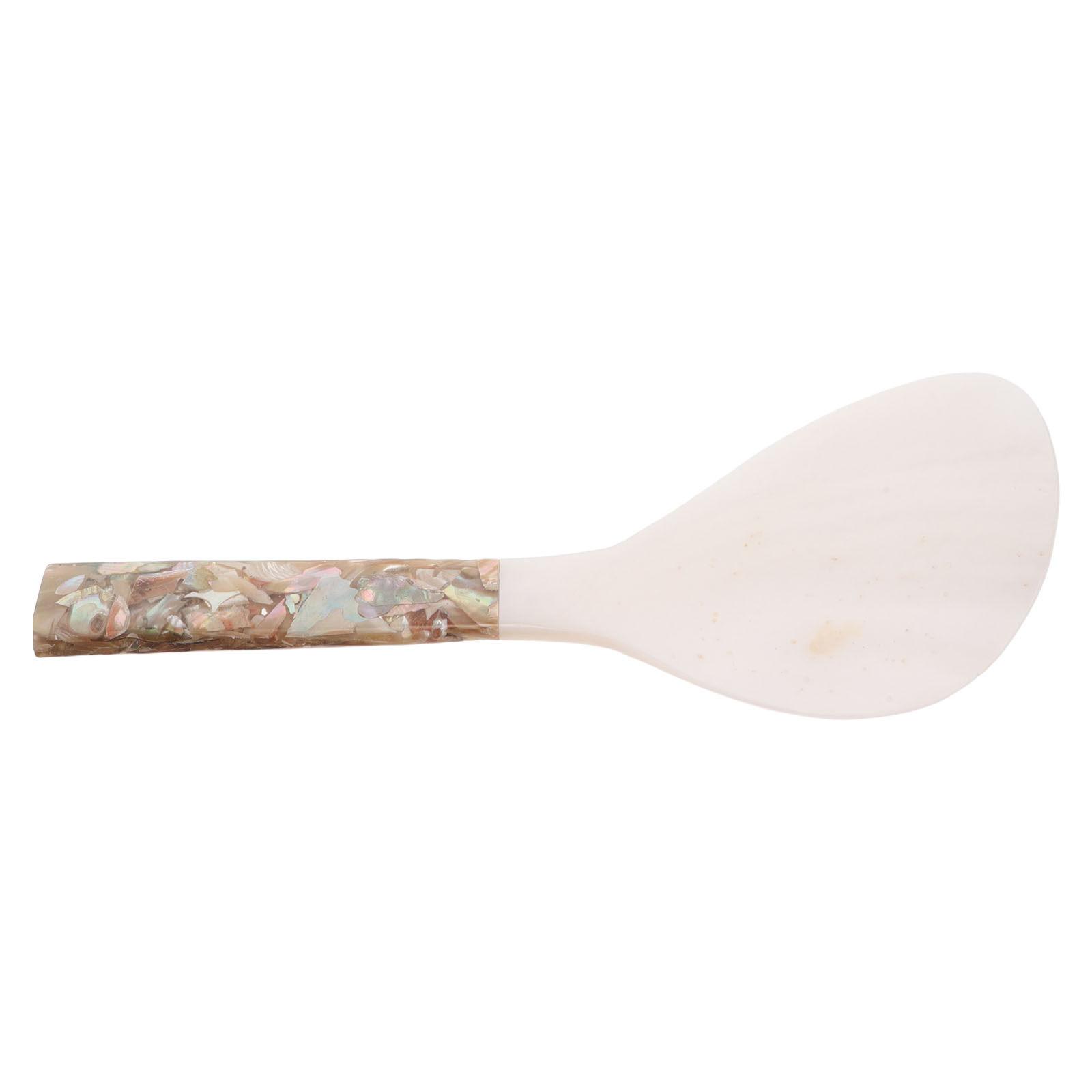 Shell-Inspired Rice Paddle Non - đánh giá và giá Meal Prep With Rice