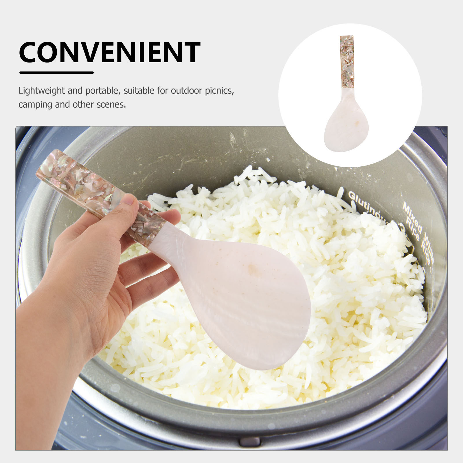 Shell-Inspired Rice Paddle Non - đánh giá và giá Meal Prep With Rice