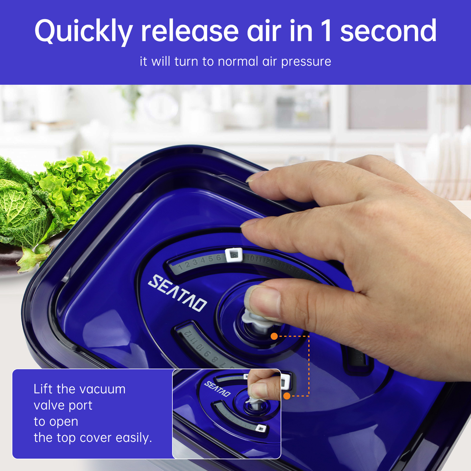 SEATAO Glass Food Storage Cont - đánh giá và giá Meal Prep Vacuum Sealer